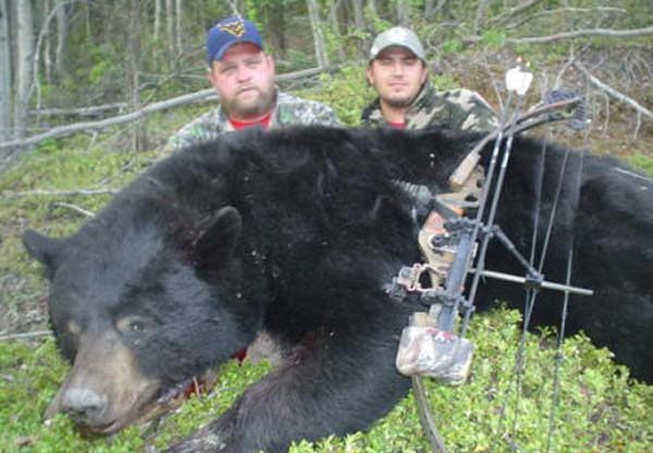 British Columbia Black Bear Hunting