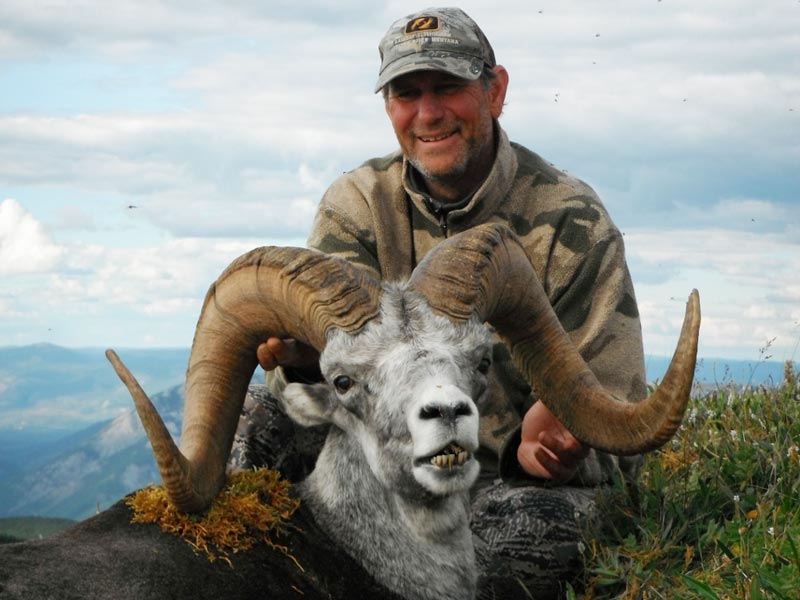 British Columbia Stone Sheep Hunting