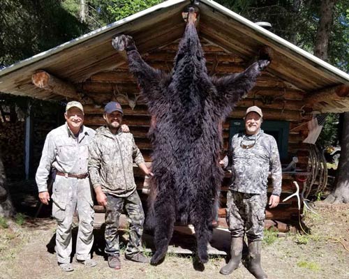 saskatchewan black bear hunting