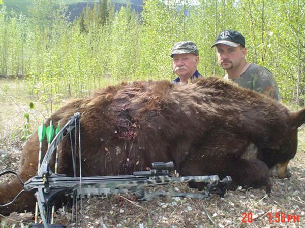 british columbia bear hunting