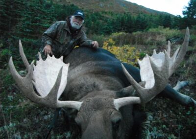 B.C. early season bull moose