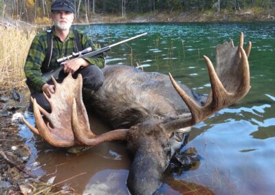 Lake hunt bull moose