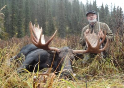 Sept moose hunt