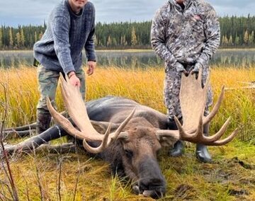 Moose Hunting Guide British Columbia