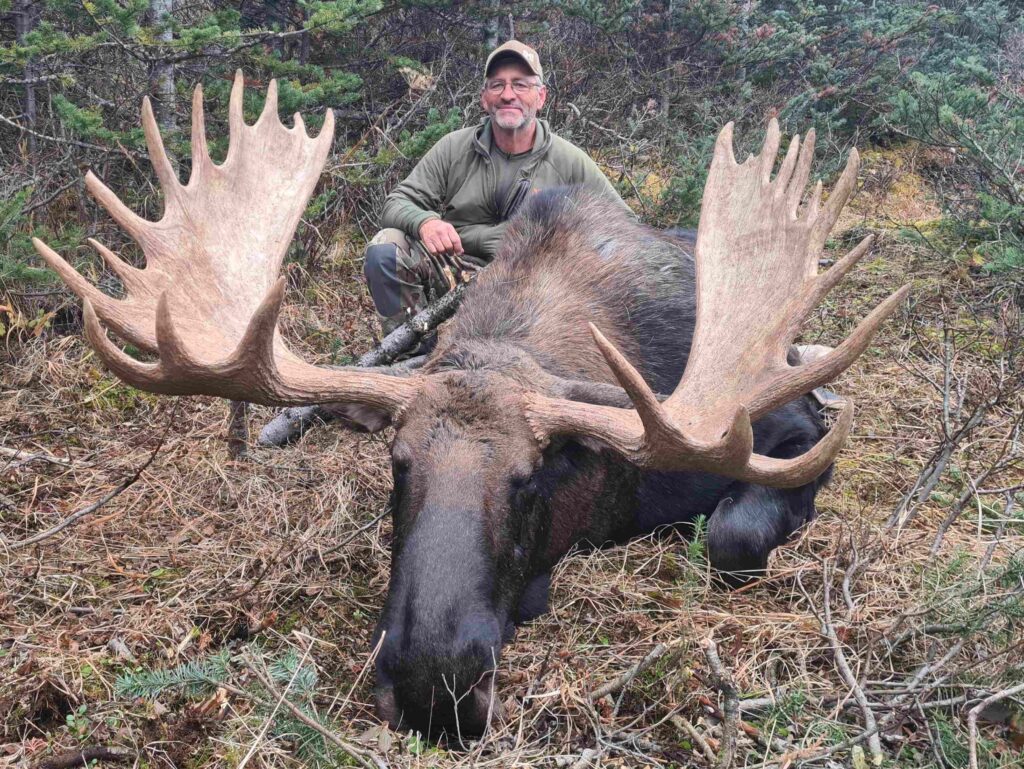 Big Bull Moose Hunting