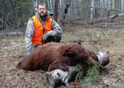 Black Bear Hunting Outfitter