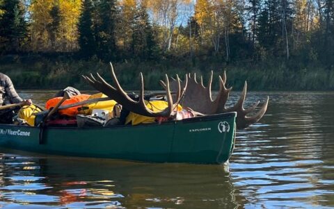 Deer big game hunting packages — Gunson Guiding & Outfitting – Gunson Guiding & Outfitting