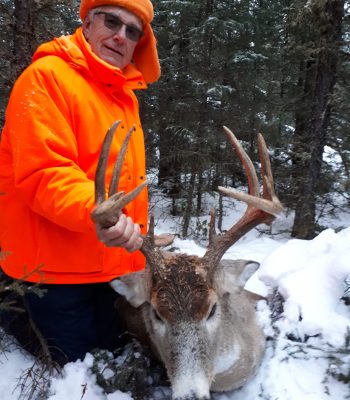 Whitetail Hunt SK