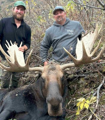 Moose Hunting Guide