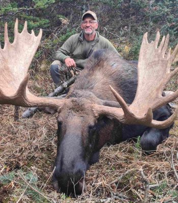 Big Bull Moose Hunting