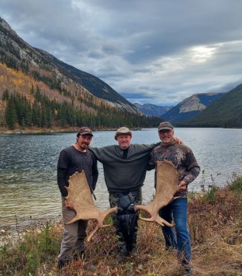 Moose Hunting in BC